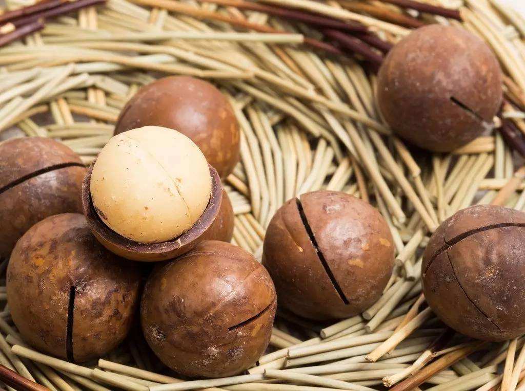 云南云澳達堅果開(kāi)發(fā)有限公司-云南能投軍創(chuàng  )產(chǎn)業(yè)投資有限公司