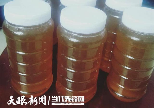 03.jpg 退伍軍人陳剛:追夢(mèng)不停 只為帶富鄉里-云南能投軍創(chuàng )產(chǎn)業(yè)投資有限公司