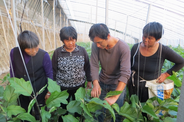 泗縣：退伍軍人勇當創(chuàng  )業(yè)致富“領(lǐng)頭雁”