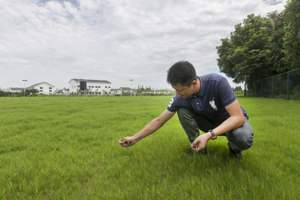 退役軍人錢(qián)少華 鄉村振興指導員