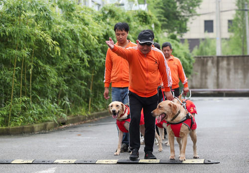 “犬司令”的助殘夢(mèng)——退役軍人孫龍根的創(chuàng  )業(yè)故事-云南能投軍創(chuàng  )產(chǎn)業(yè)投資有限公司