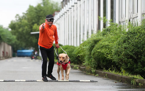 “犬司令”的助殘夢(mèng)——退役軍人孫龍根的創(chuàng  )業(yè)故事-云南能投軍創(chuàng  )產(chǎn)業(yè)投資有限公司