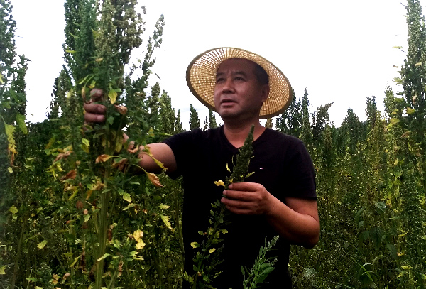 馬謙：從“愛(ài)兵模范”到“愛(ài)民書(shū)記”，扶貧路上真情依然-云南能投軍創(chuàng  )產(chǎn)業(yè)投資有限公司
