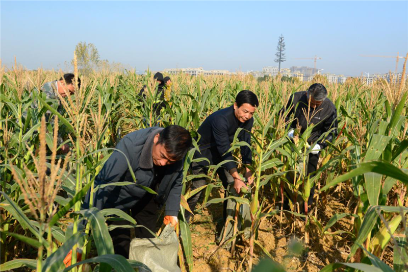 02.png 安徽巢湖:老兵“喚醒”閑置荒地 水果玉米喜獲豐收-云南能投軍創(chuàng )產(chǎn)業(yè)投資有限公司
