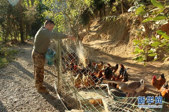 賈東亮：“空降農民”扎根鄉村寫(xiě)春秋