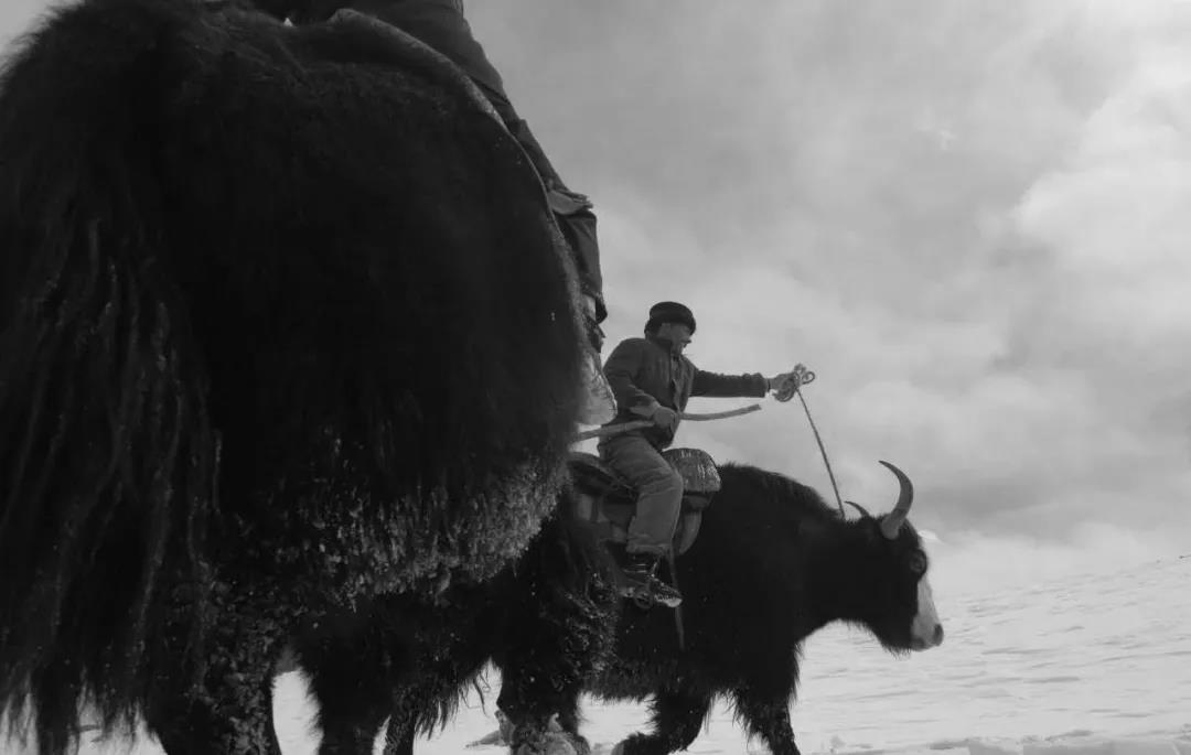 痛心！送別“帕米爾雄鷹”