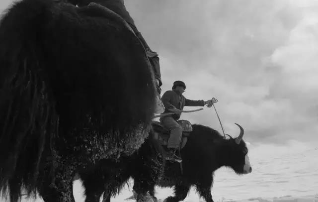 痛別“帕米爾雄鷹”！-云南能投軍創(chuàng  )產(chǎn)業(yè)投資有限公司