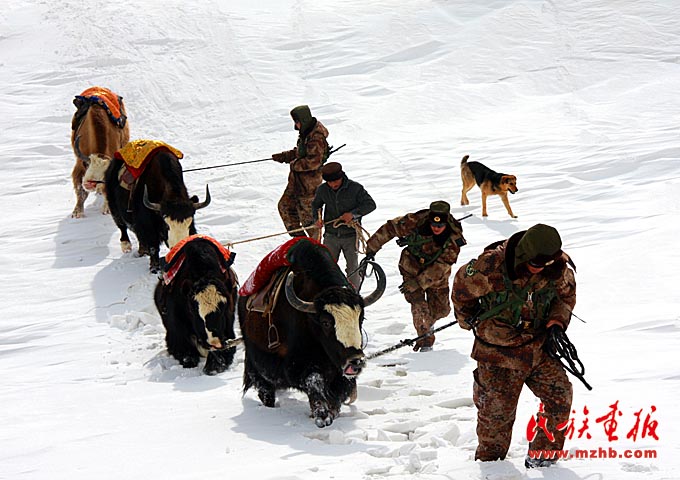 20210107lqn-04.jpg 拉齊尼·巴依卡:翱翔在帕米爾高原的塔吉克雄鷹-云南能投軍創(chuàng )產(chǎn)業(yè)投資有限公司