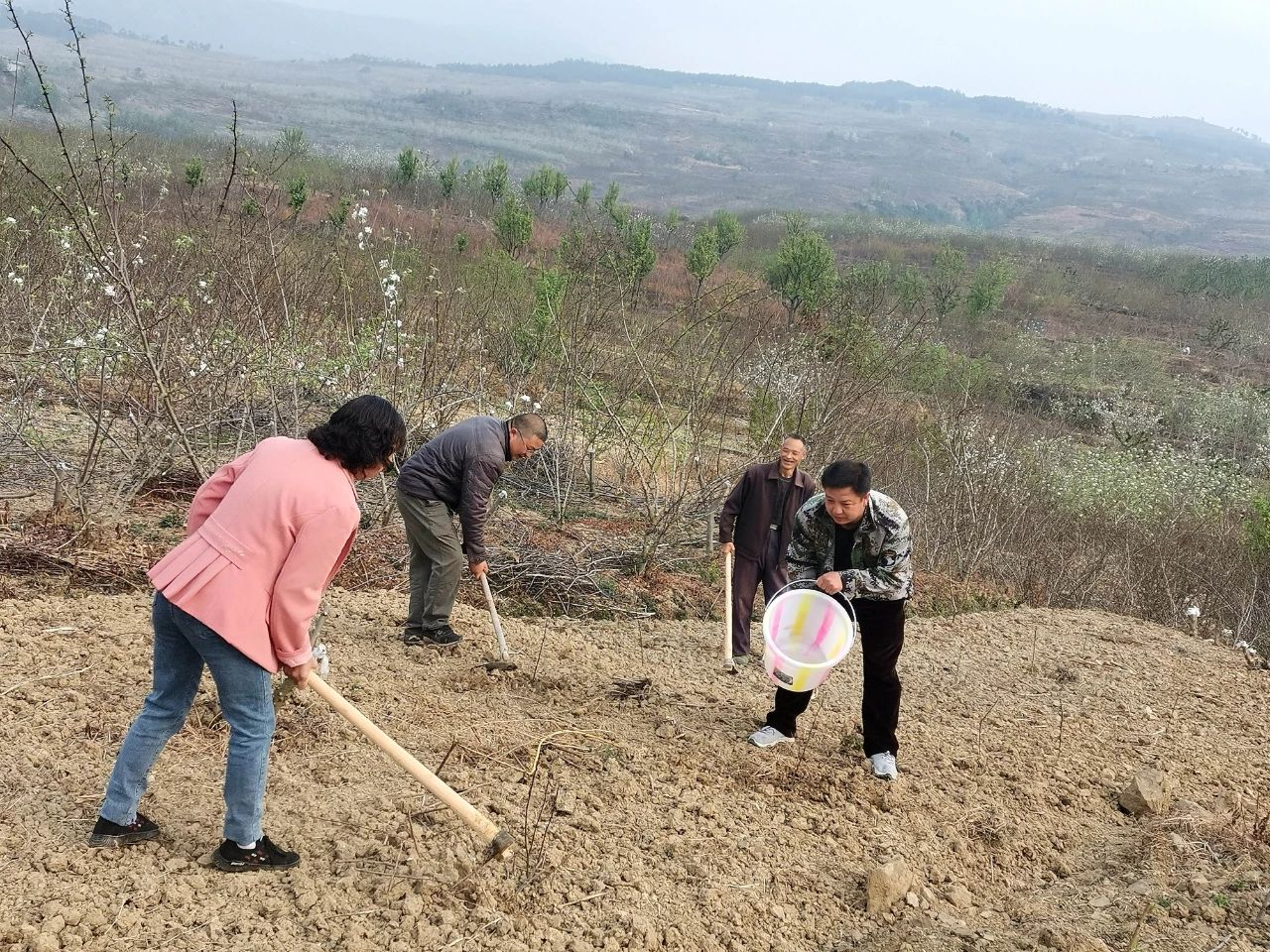 黃仁遠：大渡河畔“兵支書(shū)”