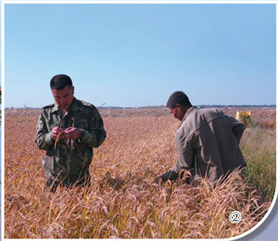 02.jpg 鹽堿地上的“科技特派員”-云南能投軍創(chuàng )產(chǎn)業(yè)投資有限公司