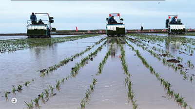 03.jpg 鹽堿地上的“科技特派員”-云南能投軍創(chuàng )產(chǎn)業(yè)投資有限公司