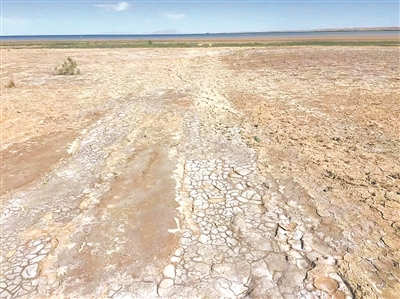 04.jpg 鹽堿地上的“科技特派員”-云南能投軍創(chuàng )產(chǎn)業(yè)投資有限公司