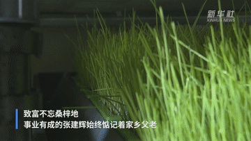 六中全會(huì )精神在基層｜“魚(yú)菜共生” 一位退役老兵的共同富裕夢(mèng)-云南能投軍創(chuàng  )產(chǎn)業(yè)投資有限公司