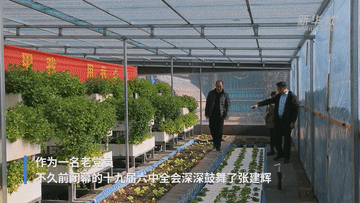 六中全會(huì )精神在基層｜“魚(yú)菜共生” 一位退役老兵的共同富裕夢(mèng)-云南能投軍創(chuàng  )產(chǎn)業(yè)投資有限公司