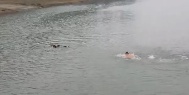 點(diǎn)贊！退役軍人跳入河中救出5歲兒童