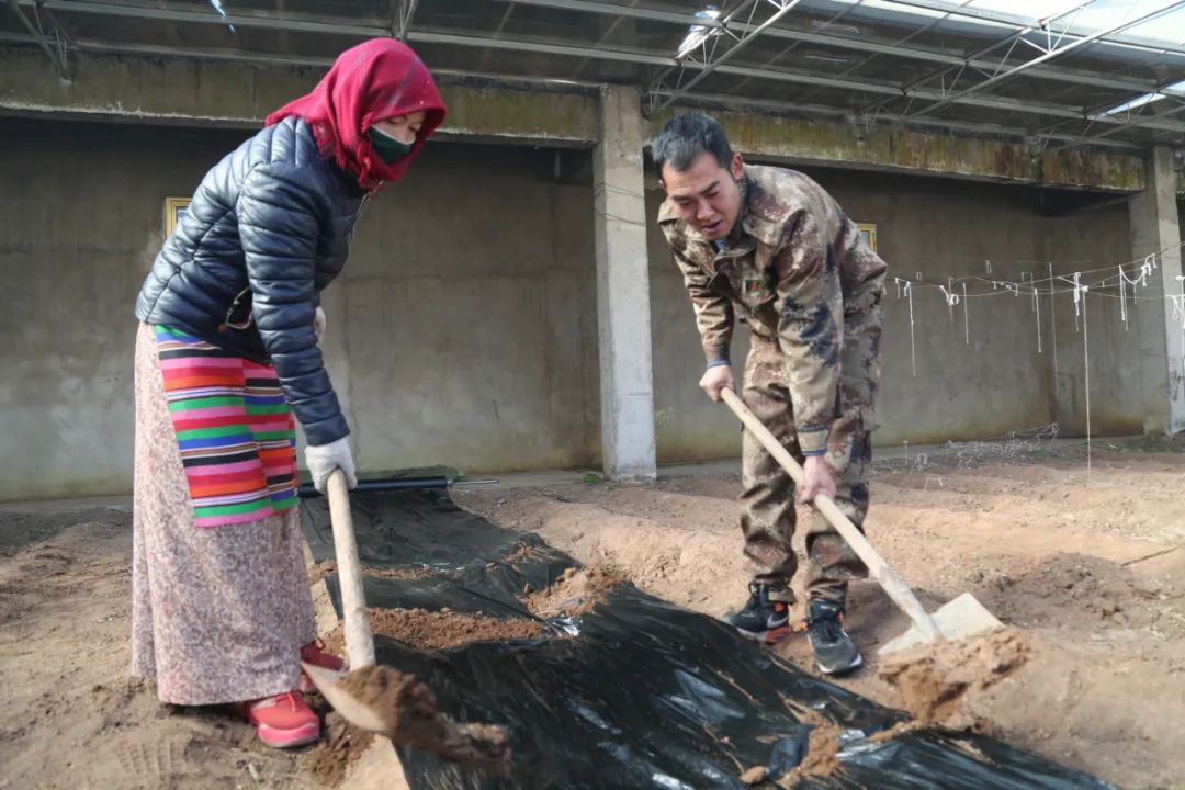 從軍人到公務(wù)員，當“康師傅”開(kāi)始種菜……-云南能投軍創(chuàng  )產(chǎn)業(yè)投資有限公司