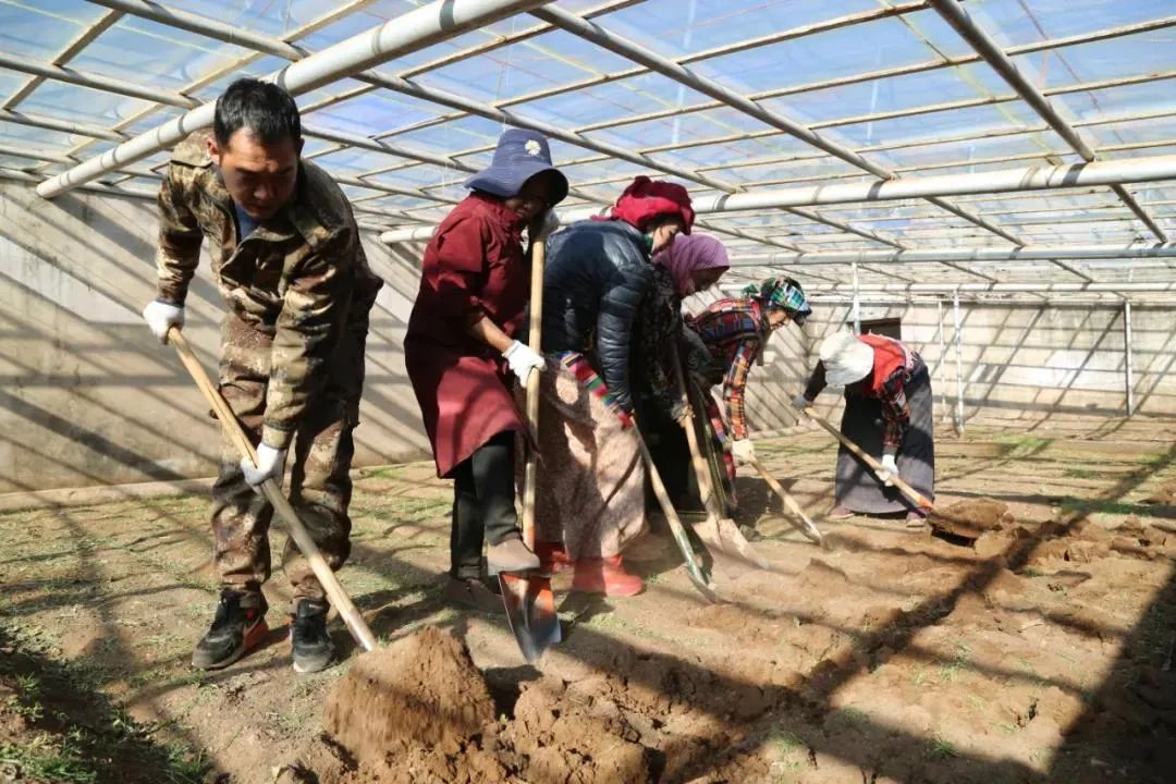 從軍人到公務(wù)員，當“康師傅”開(kāi)始種菜……-云南能投軍創(chuàng  )產(chǎn)業(yè)投資有限公司