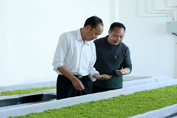 貴州劍河：上陣“父子兵” 逐夢(mèng)前行不停歇