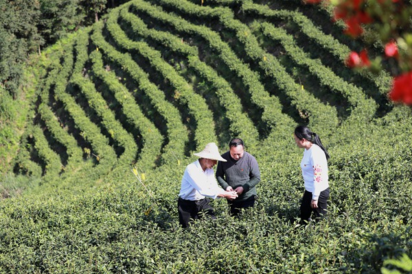貴州劍河：上陣“父子兵” 逐夢(mèng)前行不停歇