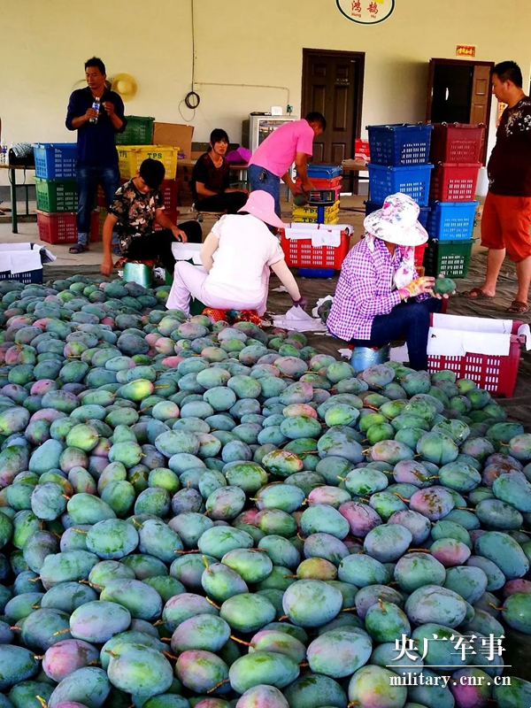 W020220418347723234191.jpg 胡洪超:讓5000畝荒山迎來(lái)金芒果的春天-云南能投軍創(chuàng )產(chǎn)業(yè)投資有限公司