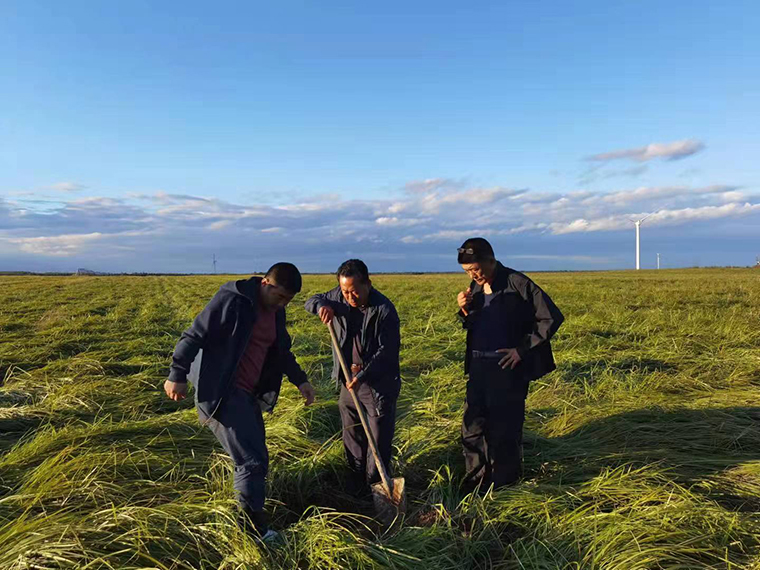 周曉東：一個(gè)最美退役軍人的“戰豆”溯源-云南能投軍創(chuàng  )產(chǎn)業(yè)投資有限公司