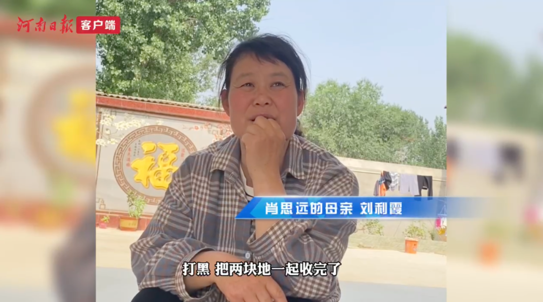 肖思遠父母為啥偷偷收麥子？真相是……