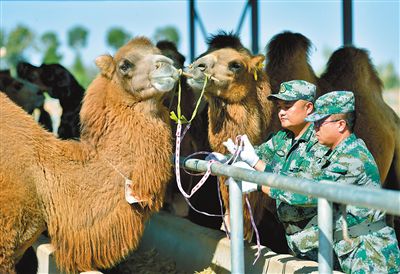 大漠深處，五星紅旗高高飄揚！