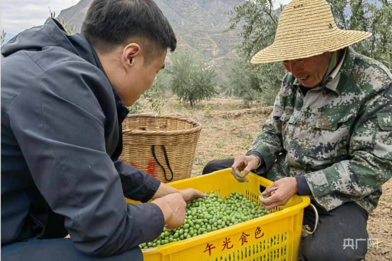 散是滿(mǎn)天星！甘肅退役軍人創(chuàng  )業(yè)當“先鋒”