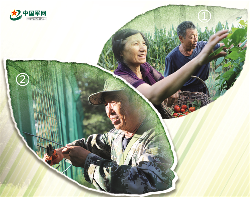 30多年一個(gè)人、一匹馬、一把長(cháng)鐮刀不變的堅守