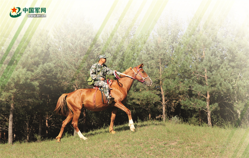 30多年一個(gè)人、一匹馬、一把長(cháng)鐮刀不變的堅守