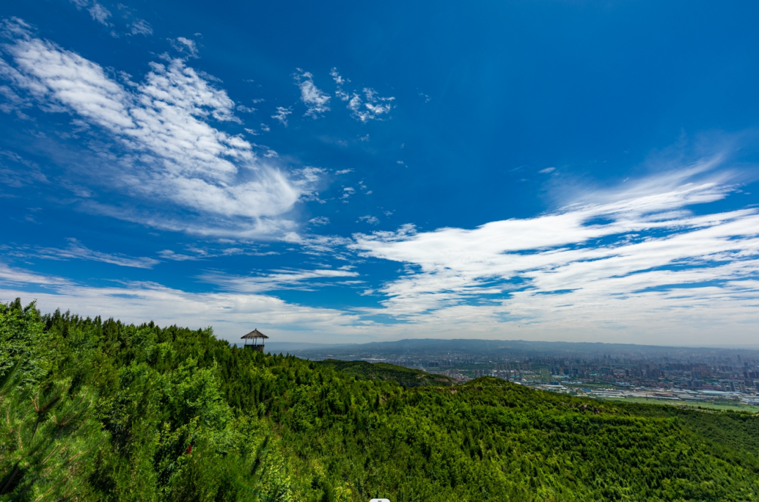 解放軍報：一個(gè)人，一座山，一片綠——記老兵張俊平-云南能投軍創(chuàng  )產(chǎn)業(yè)投資有限公司